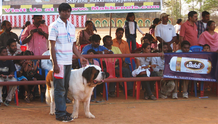 Image Caption